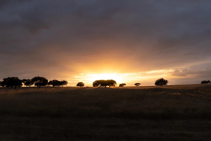 Entardecer no Alentejo — Quinta da Pedreira